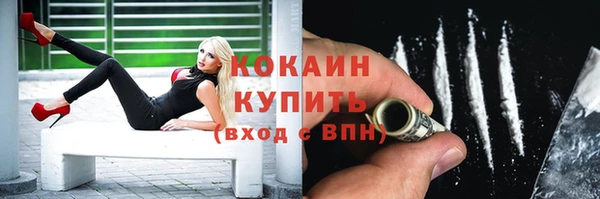 крисы Козловка