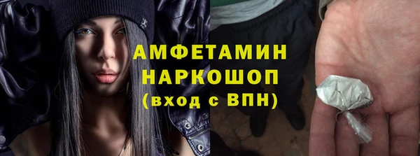 крисы Козловка