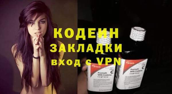 СК Кодинск