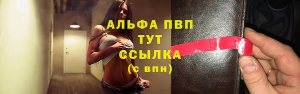 крисы Козловка