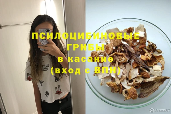 крисы Козловка