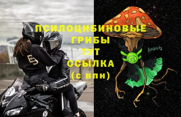 крисы Козловка