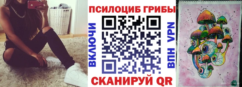 Псилоцибиновые грибы GOLDEN TEACHER  Купить  Бологое 