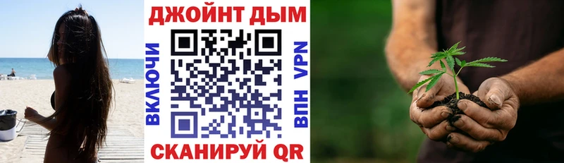 Купить закладки  Бологое  Бошки марихуана Ganja 